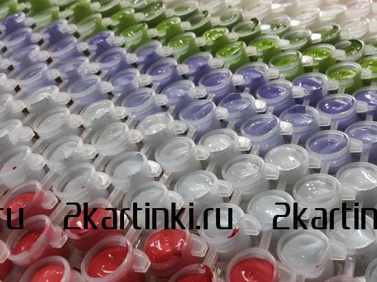 Картина по номерам 40x50 Q6130 Дракон и череп за 199 руб.  в интернет-магазине  Картина по номерам 40x50 Дракон и череп