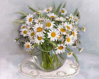 Без бренда «2KMA-0021» в Ставрополе