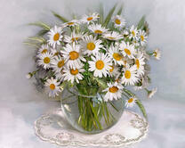 Без бренда «2KMA-0021» в Ставрополе