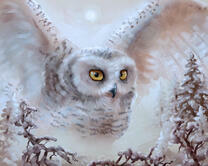 Без бренда «2KMB-3848» в Ставрополе