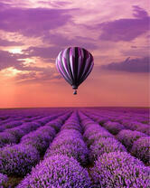 Без бренда «2KMB-4091» в Ставрополе