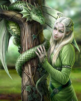 Без бренда «Дракон и эльф» в Ставрополе