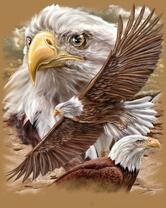 Без бренда «2KMB-4315» в Ставрополе