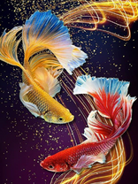 Без бренда «Желтая и красная рыбки» в Ставрополе