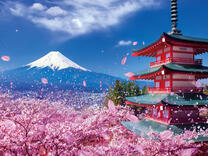 Без бренда «2KSB-7277» в Ставрополе