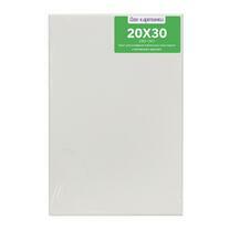 Без бренда «Коробка 80 шт.: Холст Две картинки на подрамнике 20X30» в Ставрополе