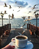 Без бренда «BOX20-2KMB-1952» в Ставрополе