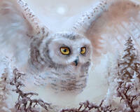 Без бренда «Полярная сова над лесом (20шт)» в Ставрополе