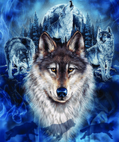 Без бренда «BOX40-2KXSB-0687» в Ставрополе