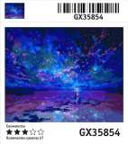 Картина по номерам 40x50 Прогулка под звёздным небом