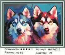 Две хаски на синем фоне