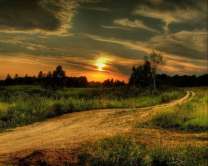 Без бренда «Проселочная дорога на закате» в Ставрополе