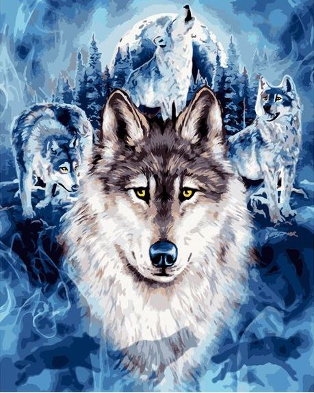 Картина по номерам 40x50 Волки и зимней лес