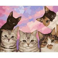 Без бренда «Такие разные котики» в Ставрополе в интернет-магазине  Без бренда «Такие разные котики» в Ставрополе
