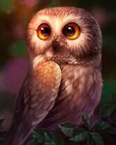 Милый совёнок