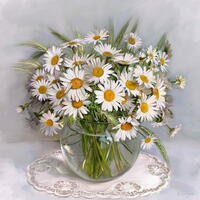 Без бренда «Букет свежих ромашек» в Ставрополе