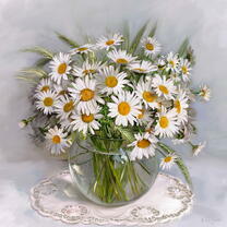 Без бренда «Букет свежих ромашек» в Ставрополе