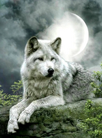 Без бренда «Коробка 25 шт. картин по номерам BOX25-GX21058» в Ставрополе