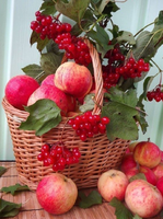 Без бренда «Коробка 25 шт. картин по номерам BOX25-GX5174» в Ставрополе