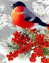 Снегирь на веточке рябины