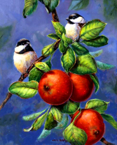 Без бренда «Две синички на яблоках» в Ставрополе