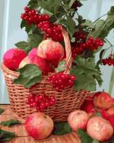 Без бренда «Плетёная корзина с калиной и яблоками» в Ставрополе в интернет-магазине  Без бренда «Плетёная корзина с калиной и яблоками» в Ставрополе