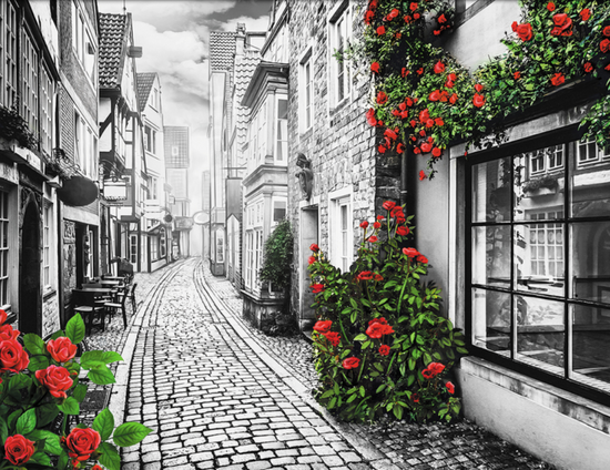 Алмазная мозаика 40x50 Серая городская улица с красными розами