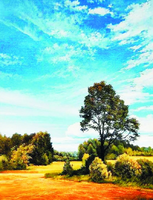 Без бренда «Осенний пейзаж с голубым небом» в Ставрополе в интернет-магазине  Без бренда «Осенний пейзаж с голубым небом» в Ставрополе