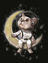 Котёнок космонавт на луне
