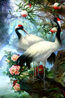 Без бренда «Коробка 25 шт. картин по номерам BOX25-GX29399» в Ставрополе