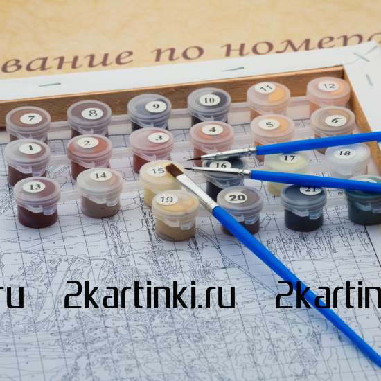 Картина по номерам 40x50 Q6130 Дракон и череп за 199 руб.  в интернет-магазине  Картина по номерам 40x50 Дракон и череп