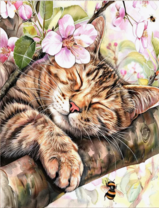 Без бренда «Волосатый котик спит на ветви яблони» в Ставрополе